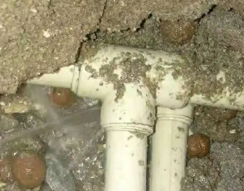 蓬江测漏水多少钱