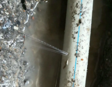 蓬江测漏水哪家好