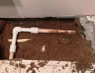 蓬江测漏水哪家好