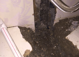 蓬江卫生间测漏水哪家好