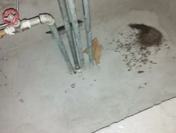 蓬江卫生间测漏水价格明细