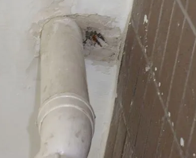 蓬江漏水检测哪家好